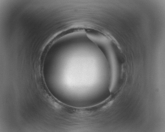 X0000083060877200702091501