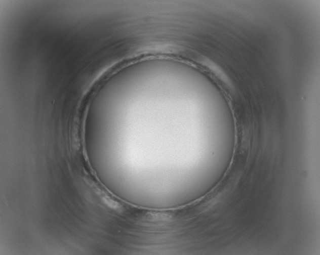 X0000083060878200702091501