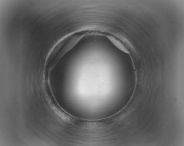 X0000083060880200702091501