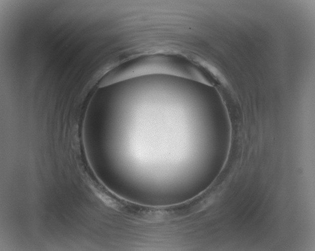 X0000083060881200702091501