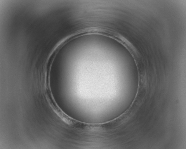 X0000083060886200702091501