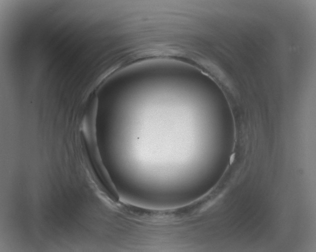 X0000083060889200702091501