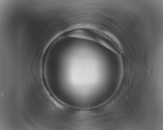 X0000083060894200702091501