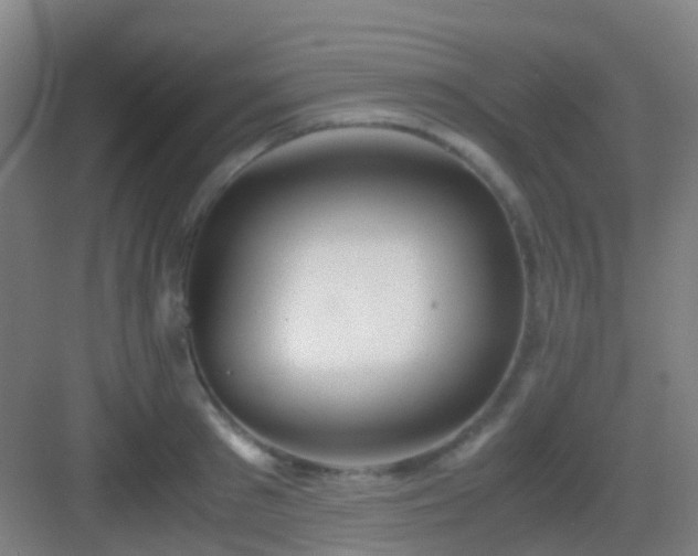 X0000083060897200702091501