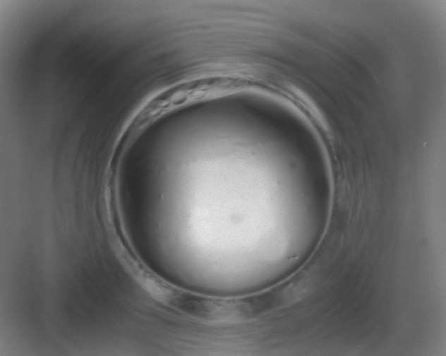 X0000083060899200702091501