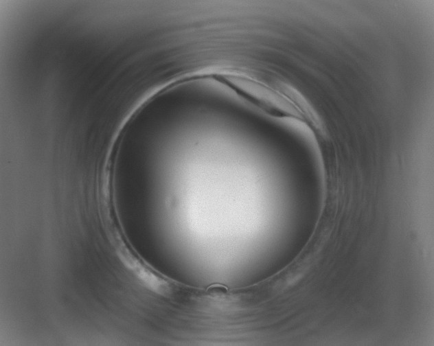 X0000083060900200702091501