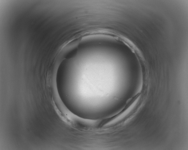 X0000083060905200702091501