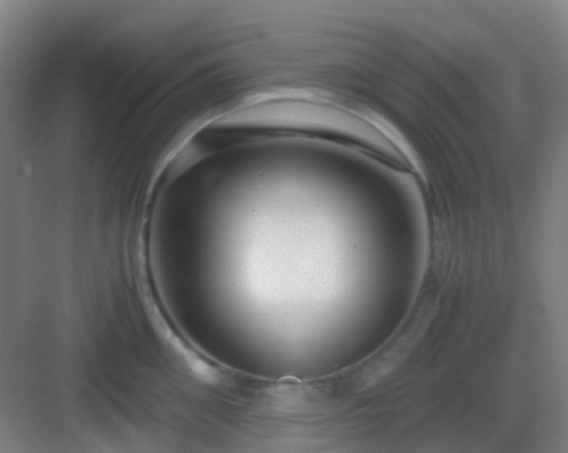 X0000083060906200702091501
