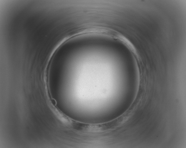 X0000083060907200702091501