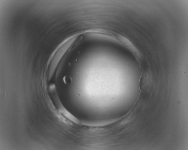 X0000083060908200702091501