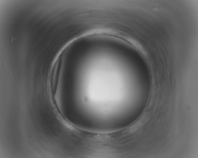 X0000083060912200702091501