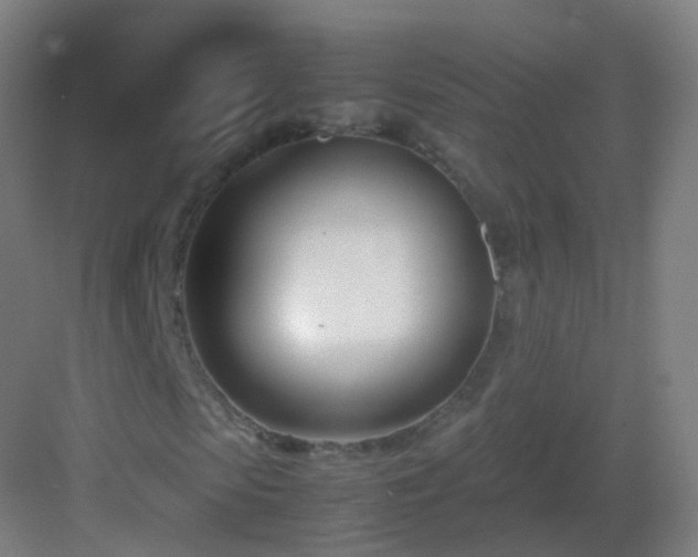 X0000083060913200702091500