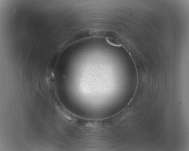 X0000083060914200702091500