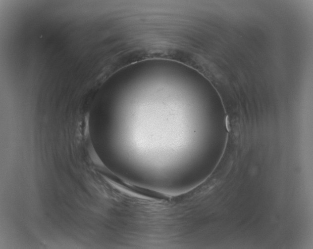 X0000083060916200702091500