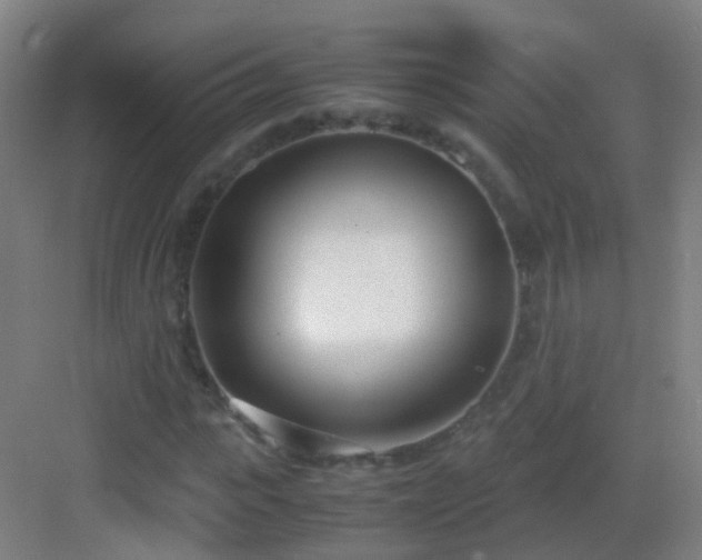 X0000083060919200702091500