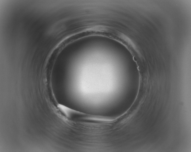 X0000083060923200702091500