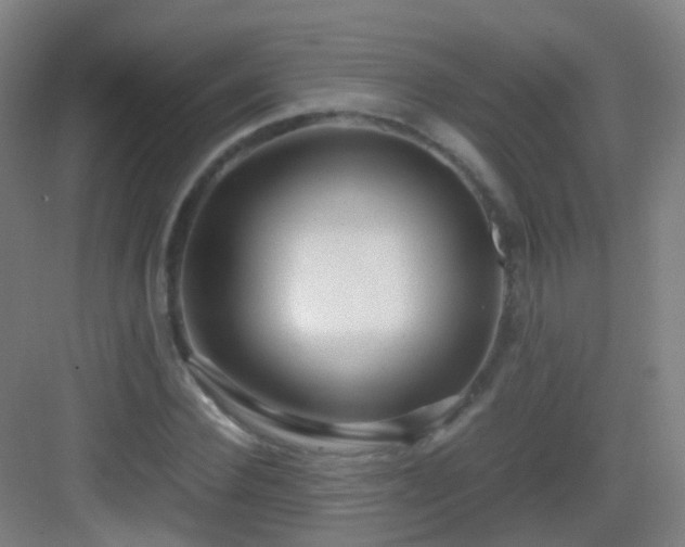 X0000083060924200702091500