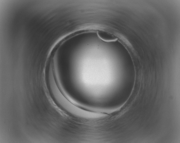 X0000083060936200702091500