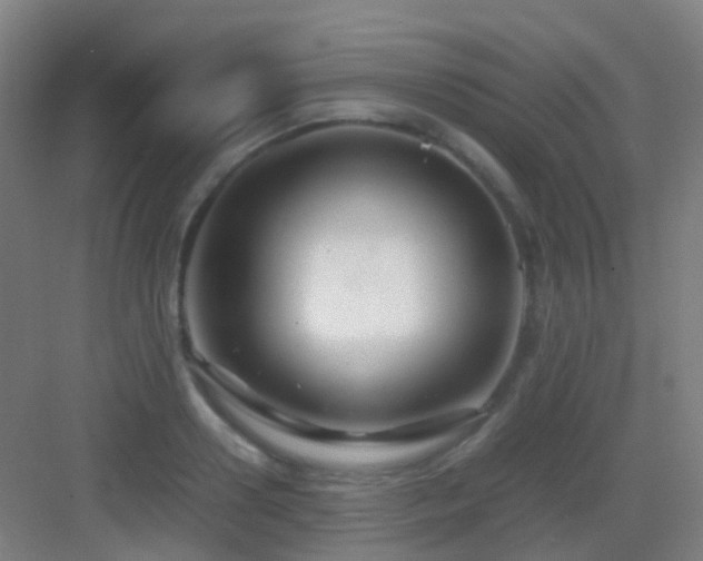 X0000083060938200702091500