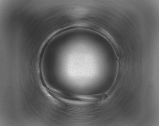 X0000083060939200702091500