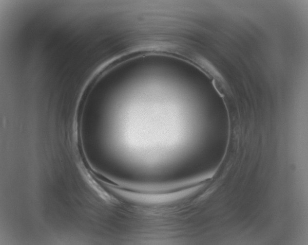 X0000083060940200702091500