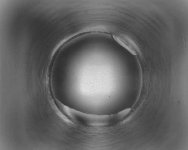 X0000083060944200702091500
