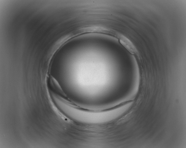 X0000083060946200702091500