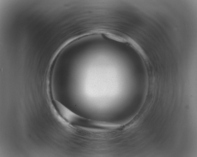X0000083060955200702091501