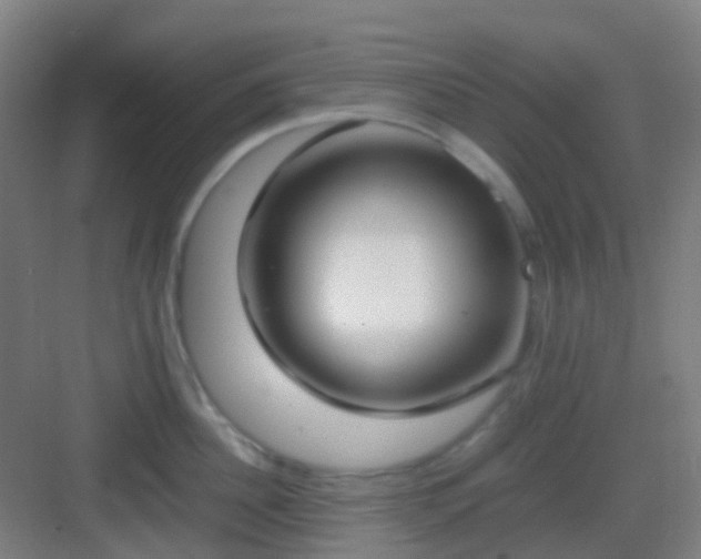 X0000083060956200702091501