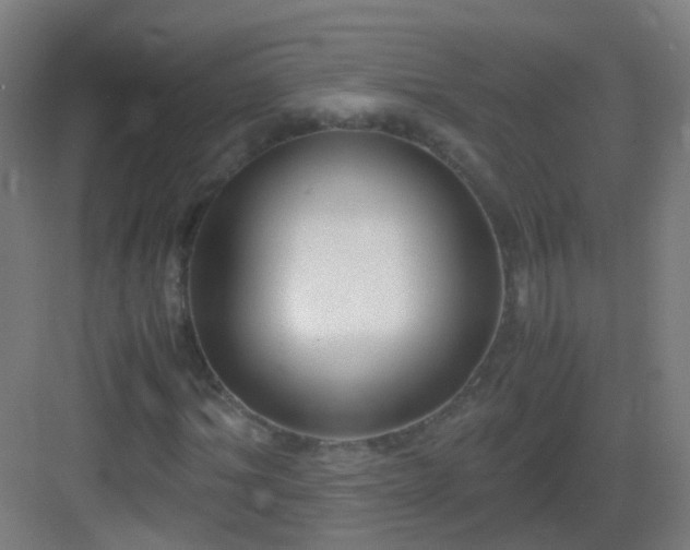 X0000083060964200702091500