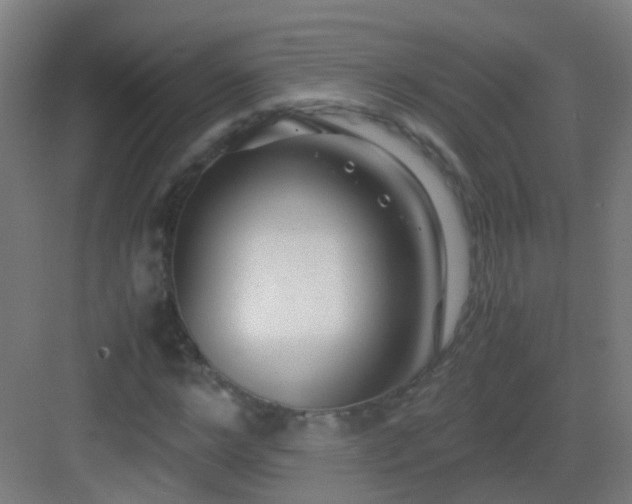 X0000083060968200702091500
