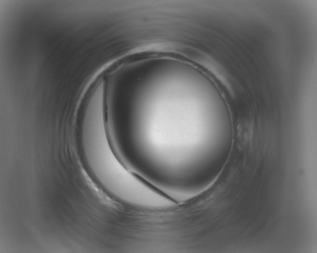 X0000083060972200702091500