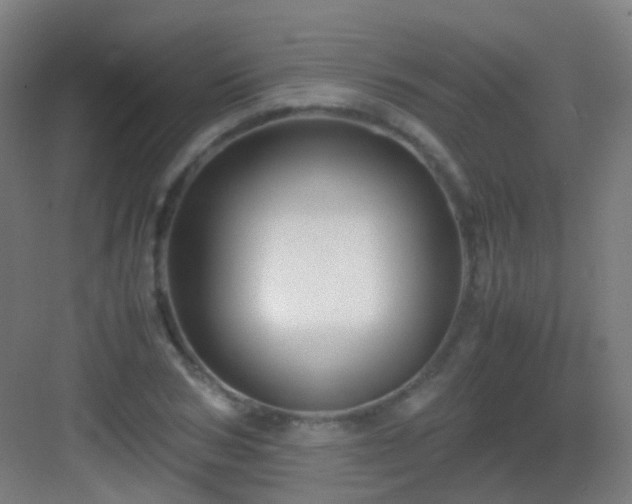 X0000083060978200702091459