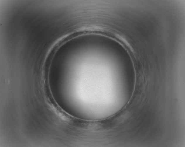 X0000083060979200702091459