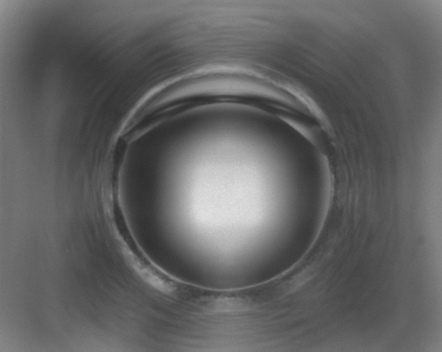 X0000083060984200702091459