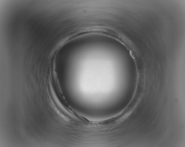 X0000083060985200702091459