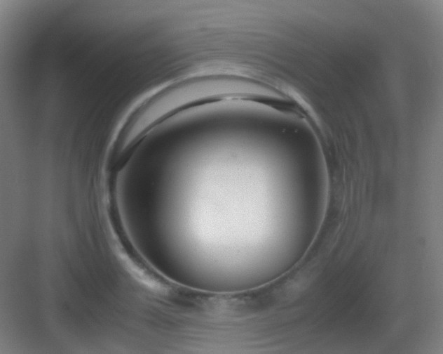 X0000083060987200702091459