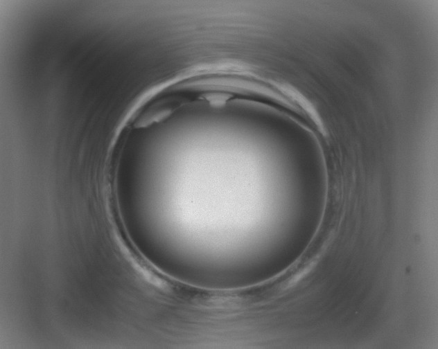 X0000083060989200702091459