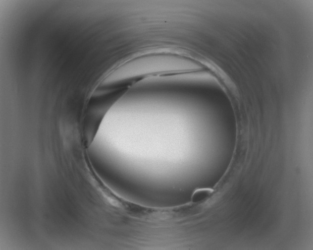 X0000083060993200702091459