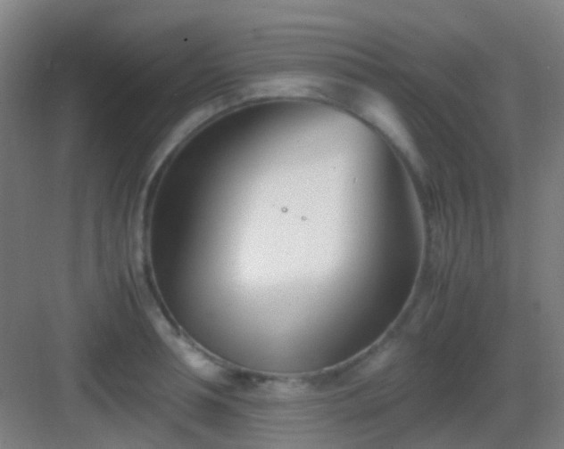 X0000083060994200702091459