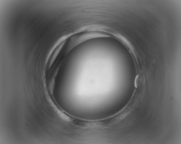 X0000083060997200702091459