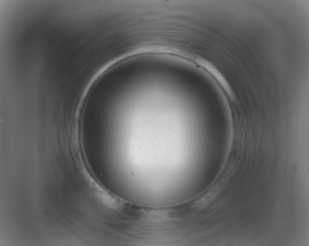 X0000083061004200702091459