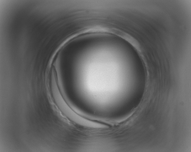 X0000083061008200702091459