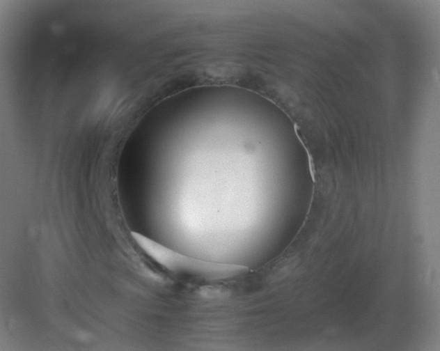 X0000083061009200702091458