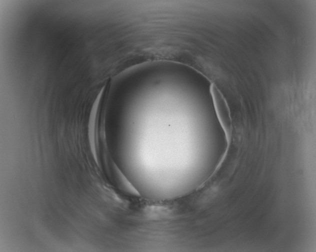 X0000083061010200702091458