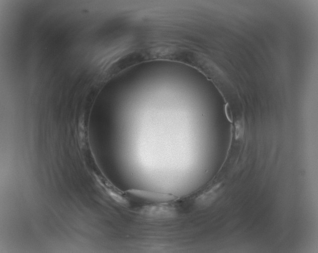 X0000083061011200702091458