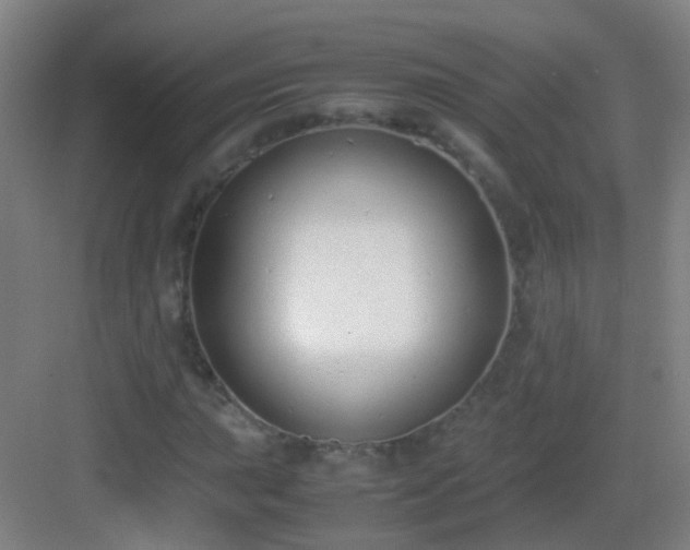 X0000083061015200702091458