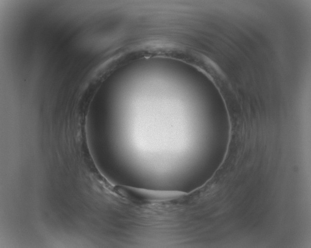 X0000083061016200702091458