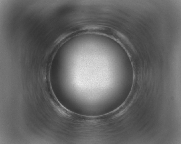 X0000083061017200702091458