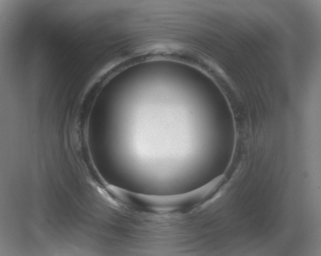 X0000083061018200702091458